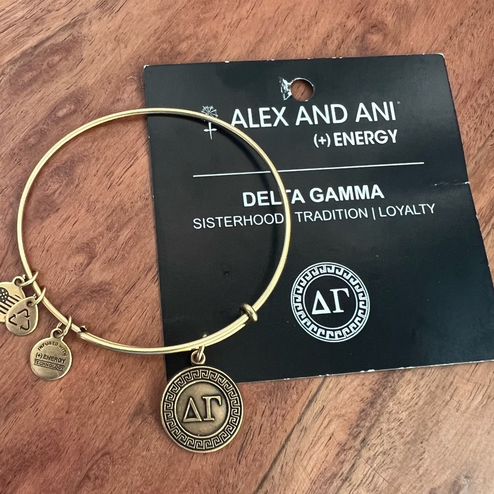 Alex and Ani Delta Gamma Bangle Bracelet - Picture 3 of 7